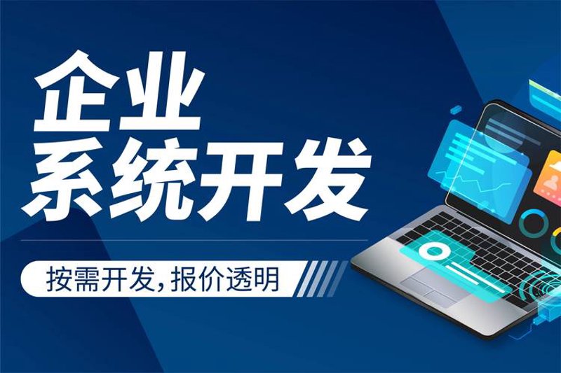 软件定制开发：构建企业数字化转型的加速器